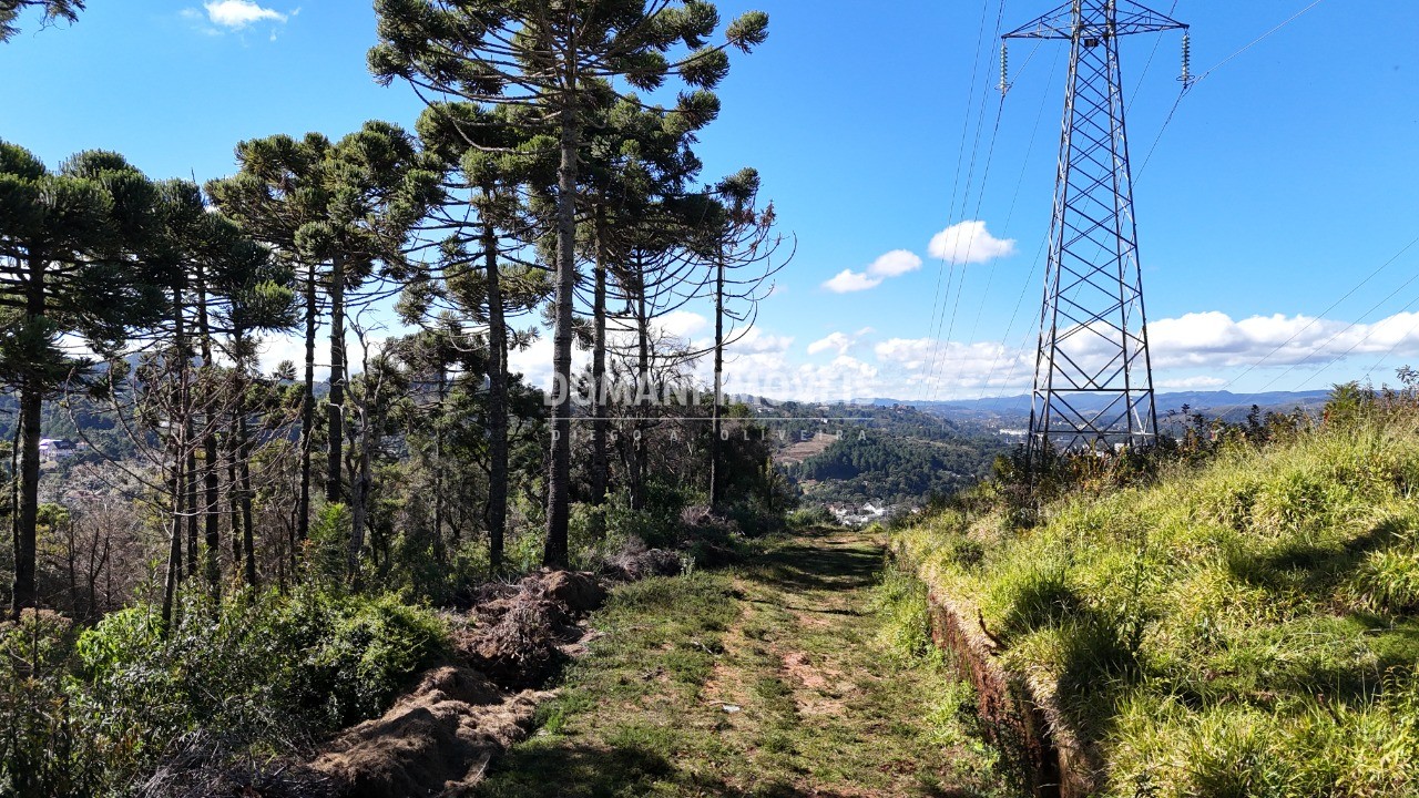 Terreno - Foto 29