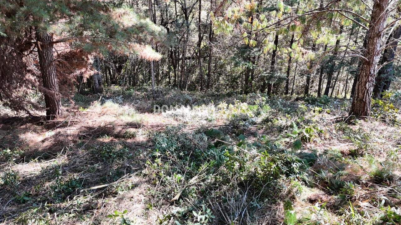 Terreno, 1080 m² - Foto 7