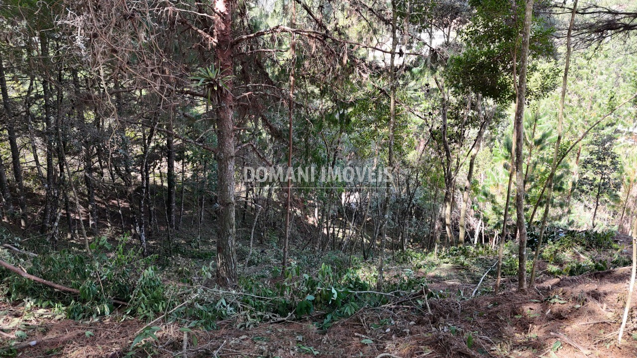 Terreno, 1182 m² - Foto 5