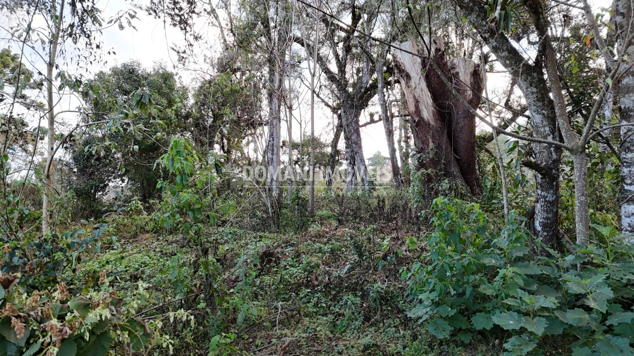 Terreno, 1030 m² - Foto 10