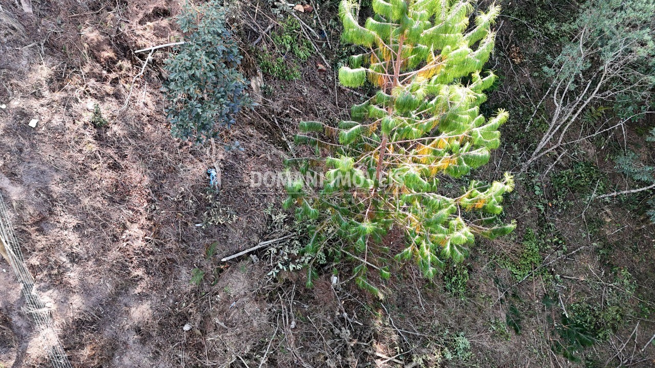 Terreno, 1182 m² - Foto 10