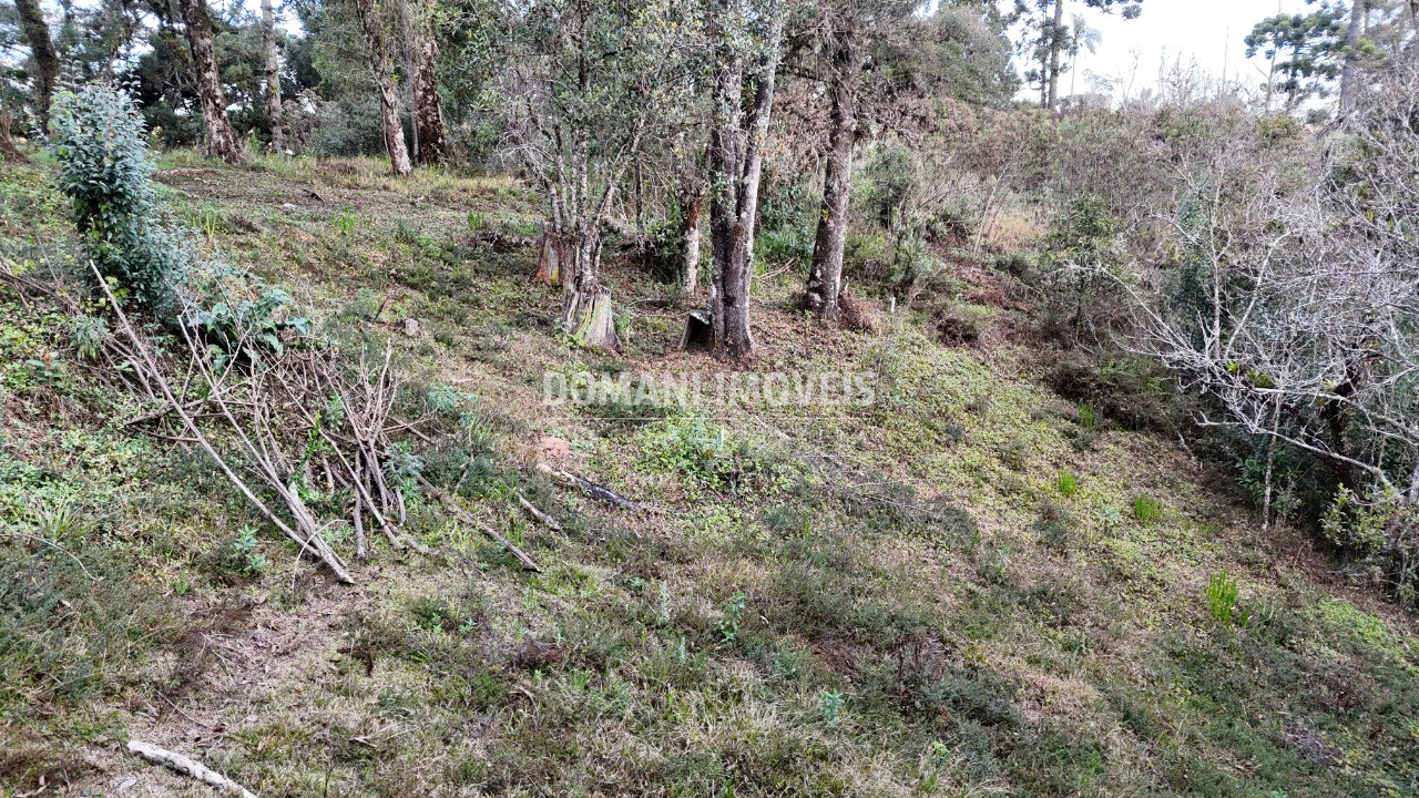 Terreno, 1030 m² - Foto 4