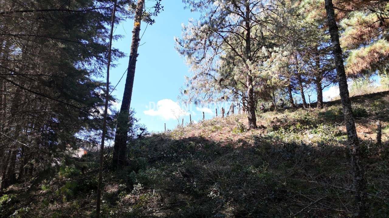 Terreno, 1080 m² - Foto 22