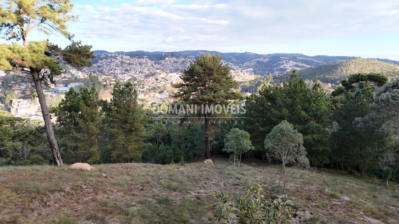 Terreno, 5535 m² - Foto 4