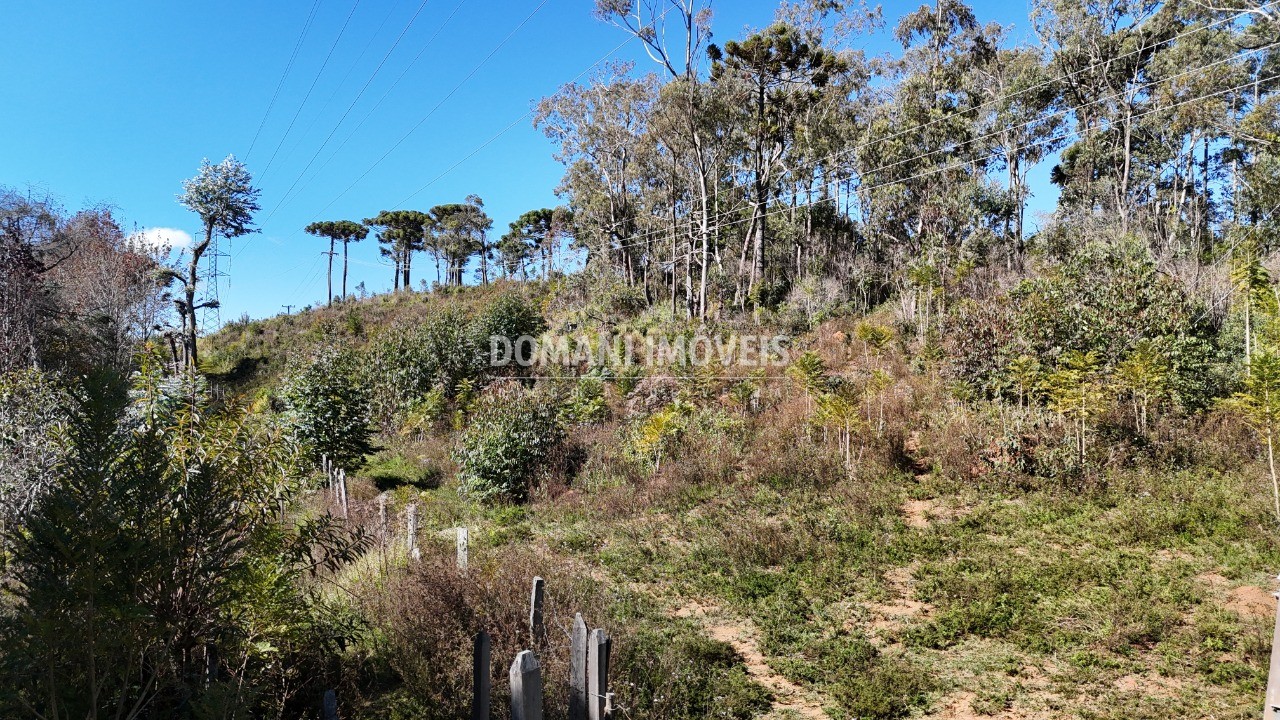 Terreno - Foto 39