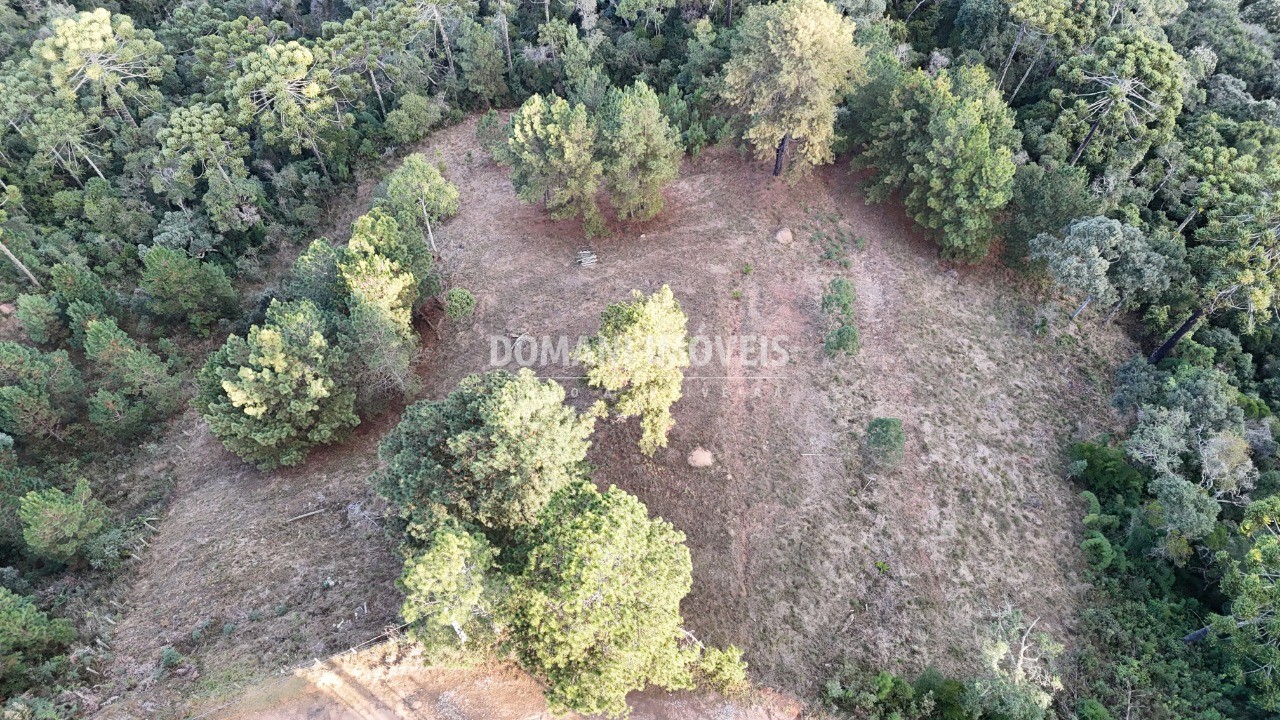 Terreno, 5535 m² - Foto 5