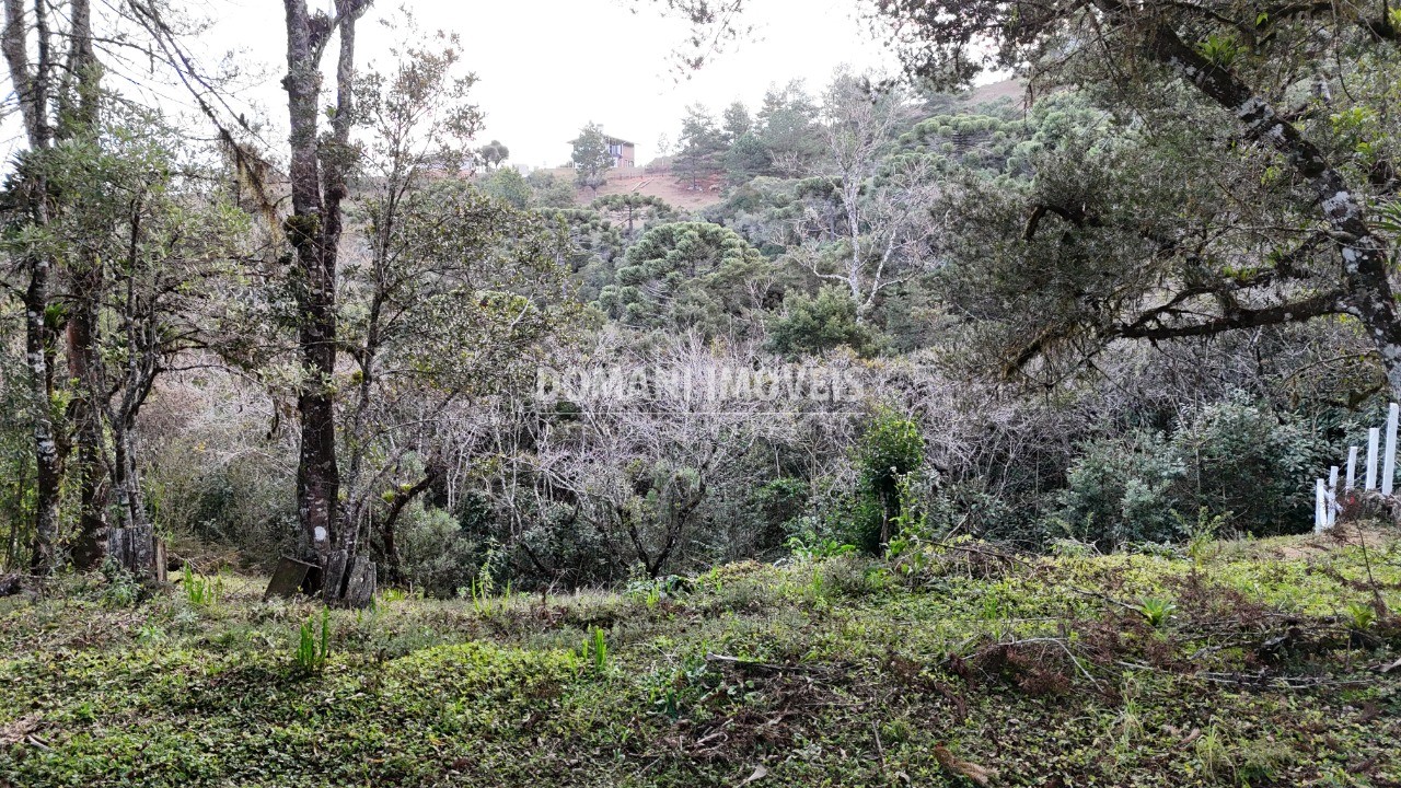 Terreno, 1030 m² - Foto 2