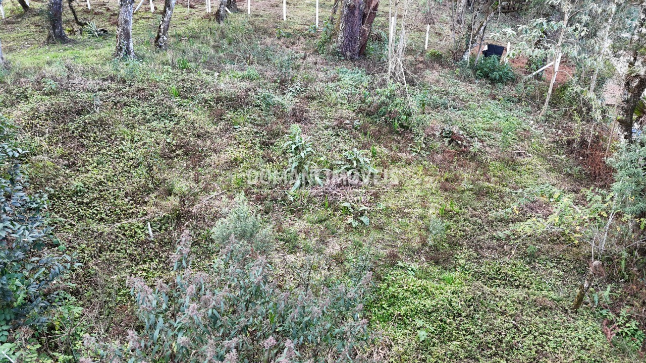 Terreno, 1030 m² - Foto 12