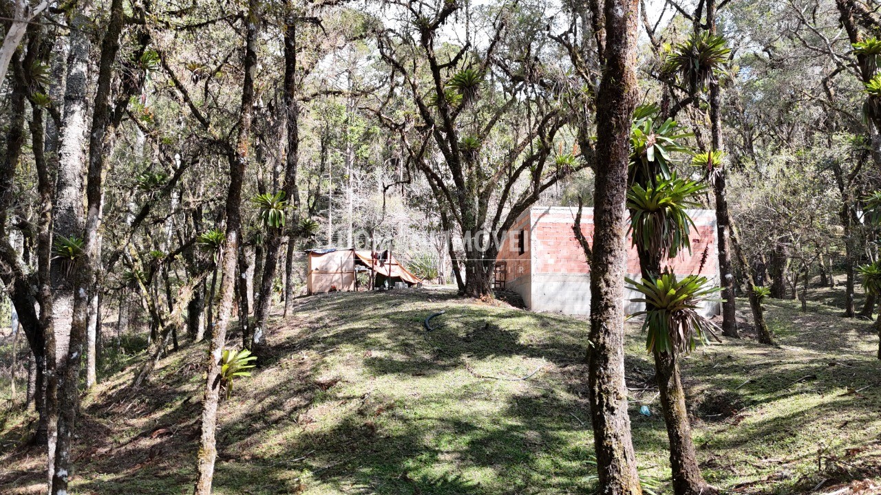 Casa, 3 quartos - Foto 29