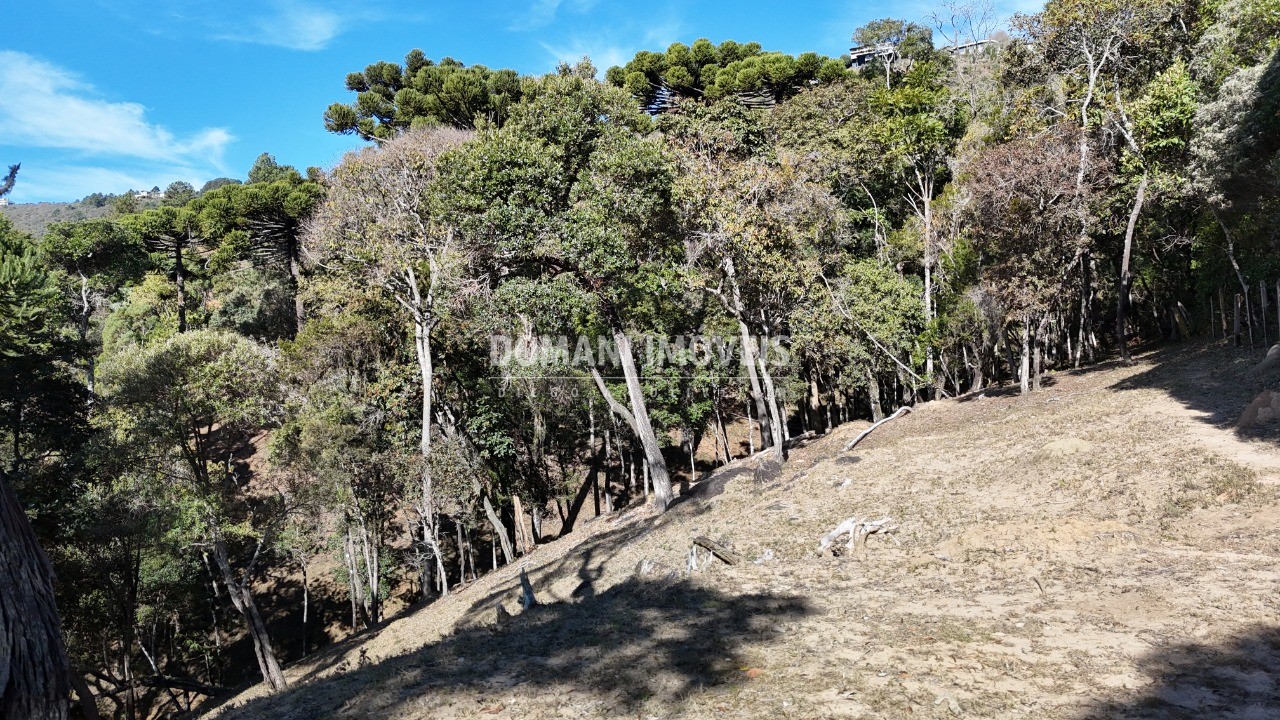 Terreno, 7210 m² - Foto 11