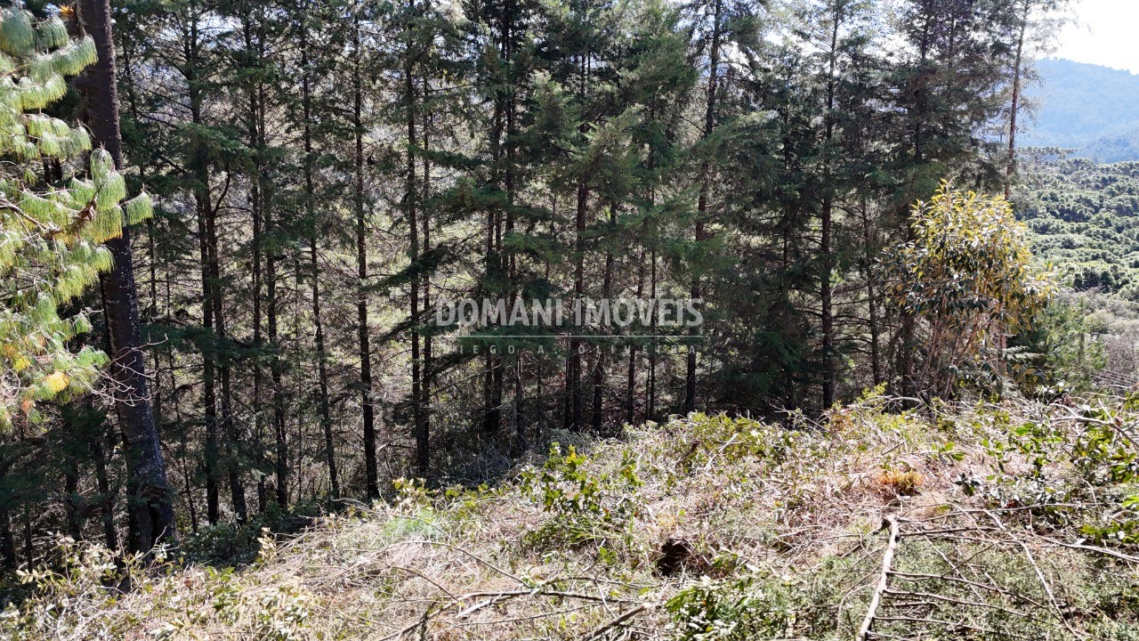 Terreno, 1080 m² - Foto 14
