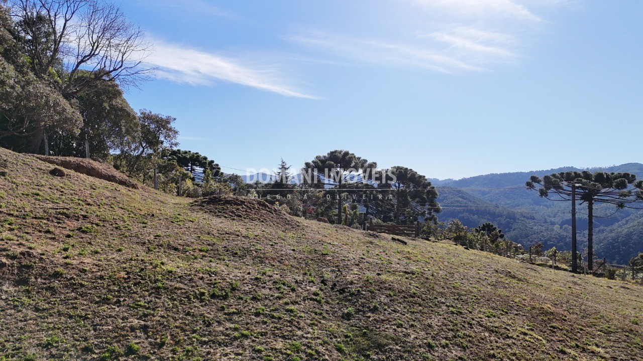 Terreno, 7210 m² - Foto 6