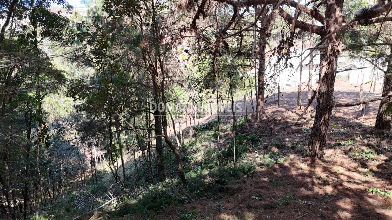 Terreno, 1182 m² - Foto 19