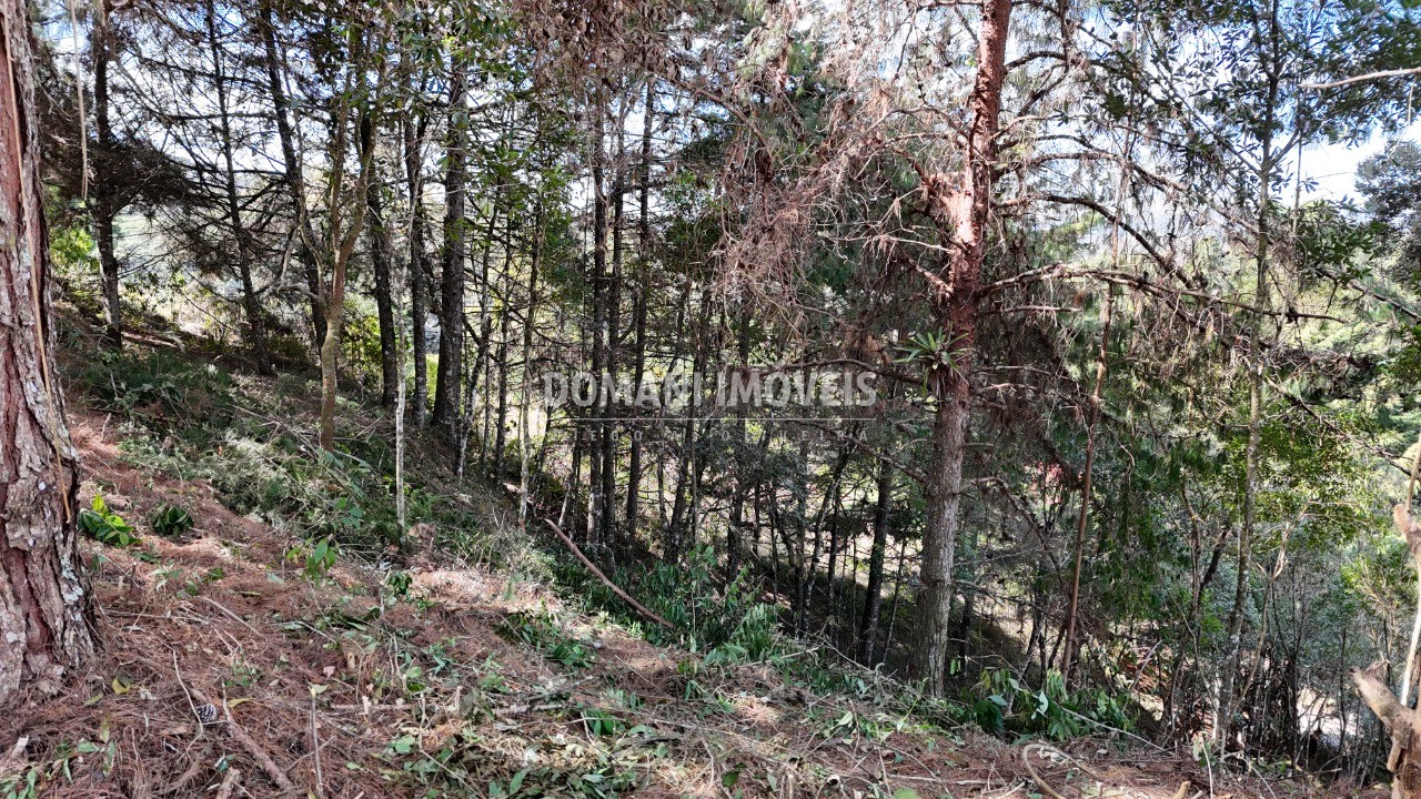 Terreno, 1182 m² - Foto 11