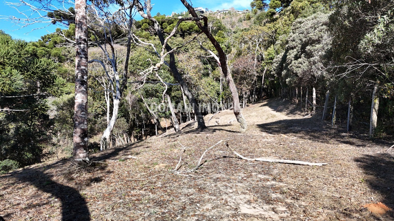 Terreno, 7210 m² - Foto 20
