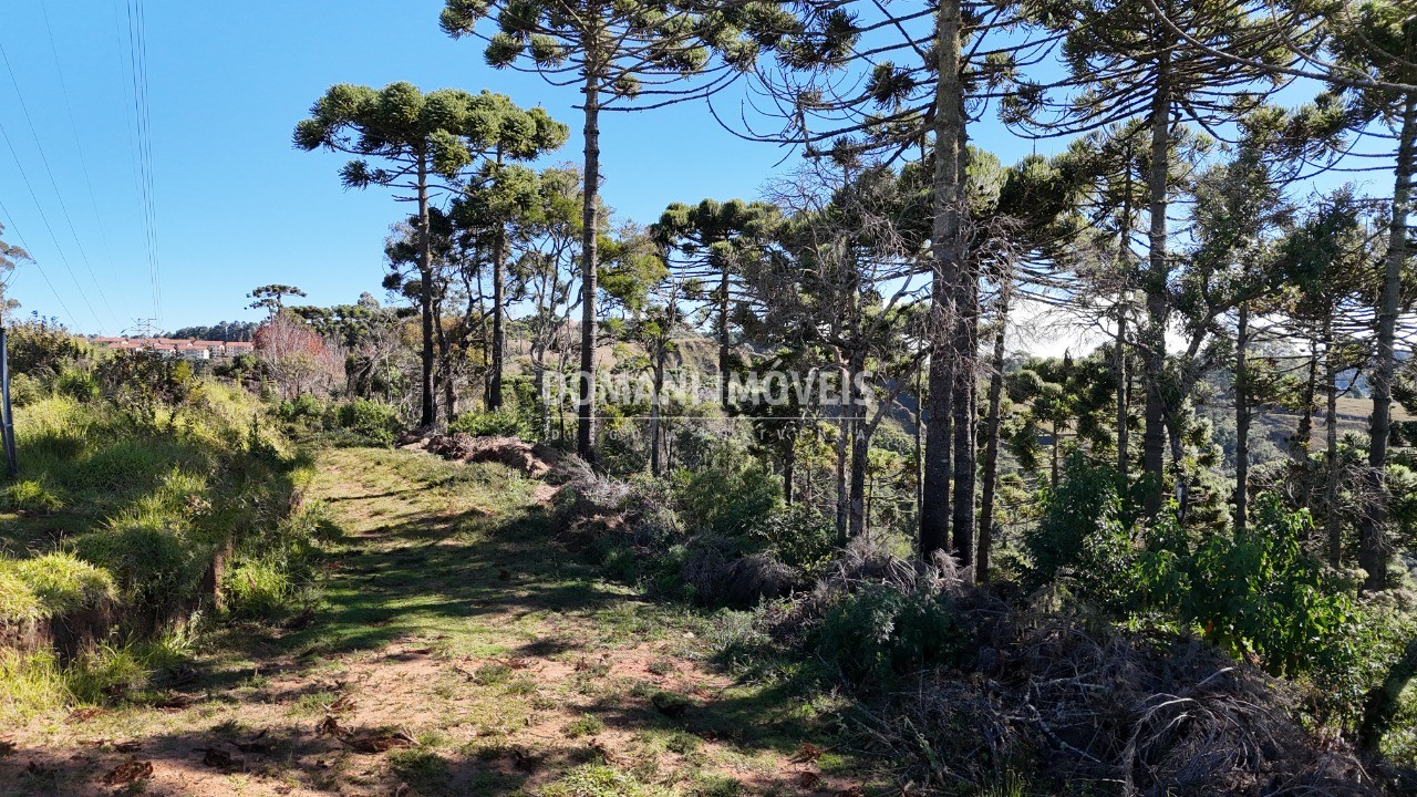 Terreno - Foto 31