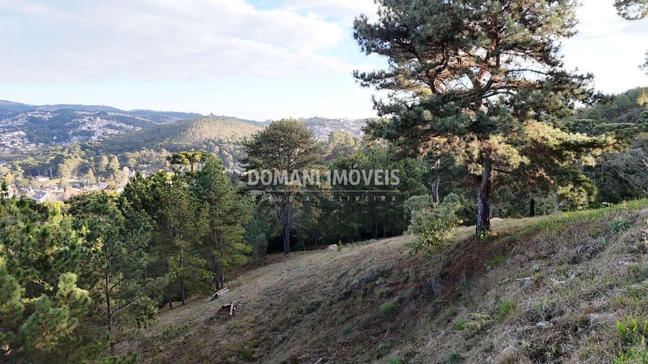 Terreno, 5535 m² - Foto 8