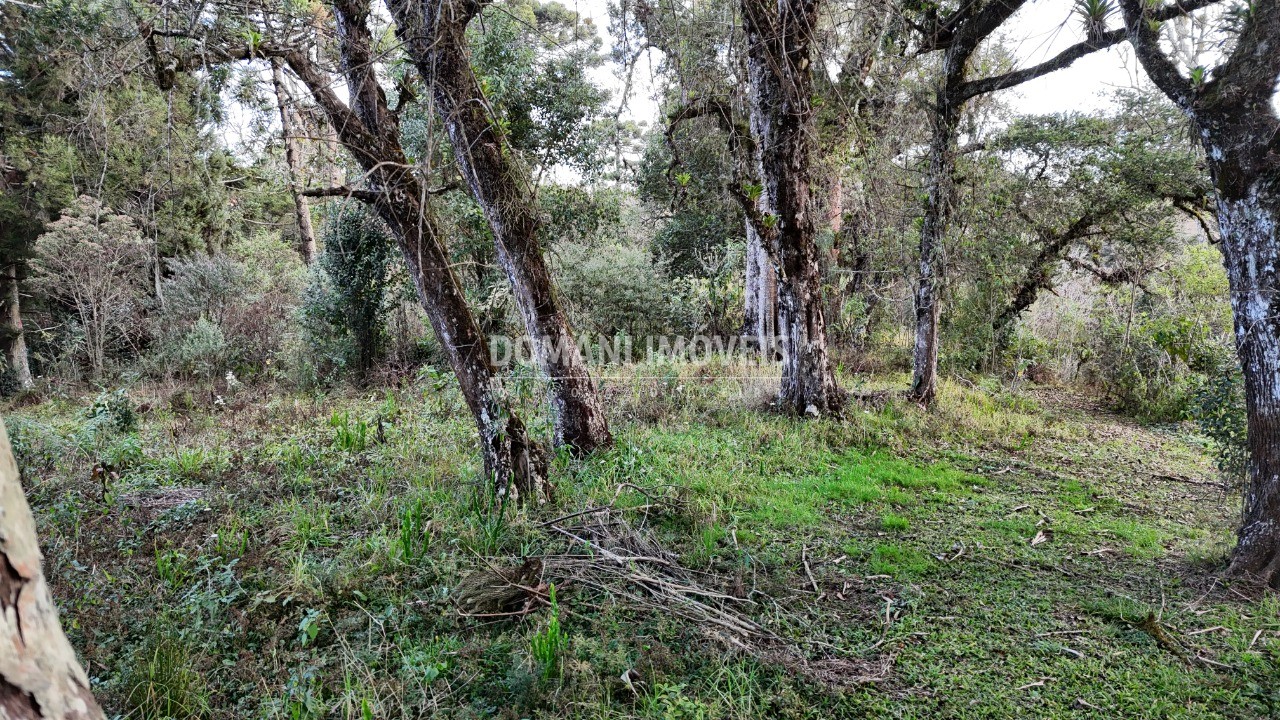 Terreno, 1030 m² - Foto 19