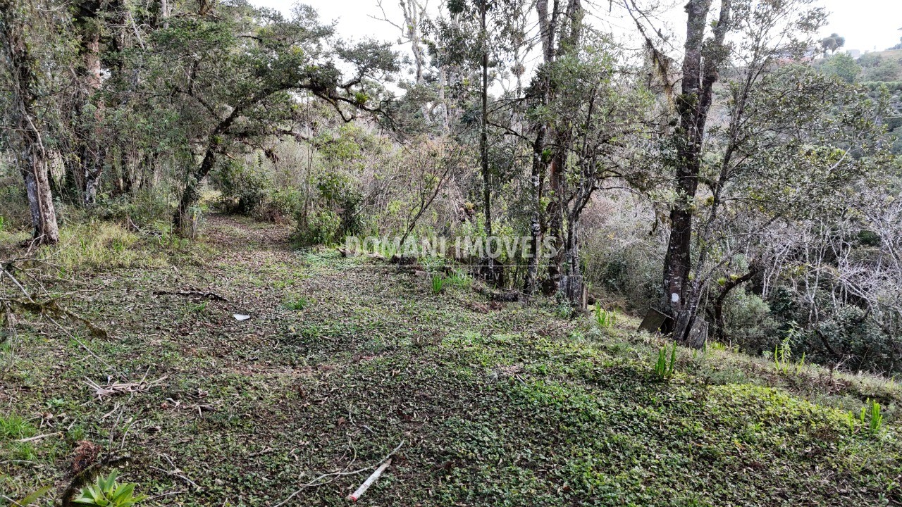 Terreno, 1030 m² - Foto 16