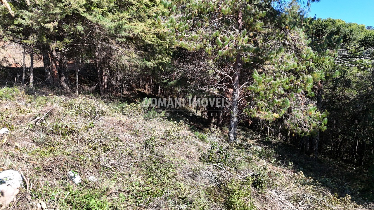 Terreno, 1080 m² - Foto 1