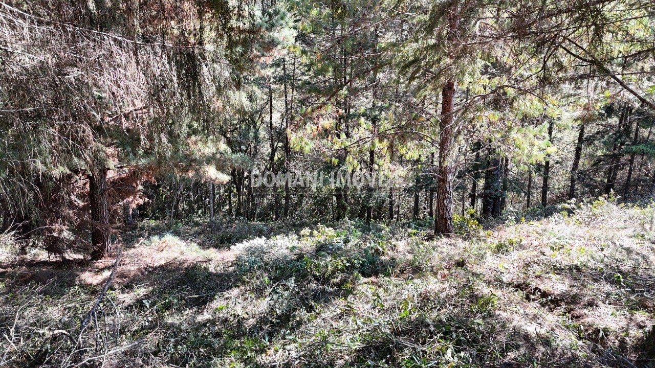 Terreno, 1080 m² - Foto 9