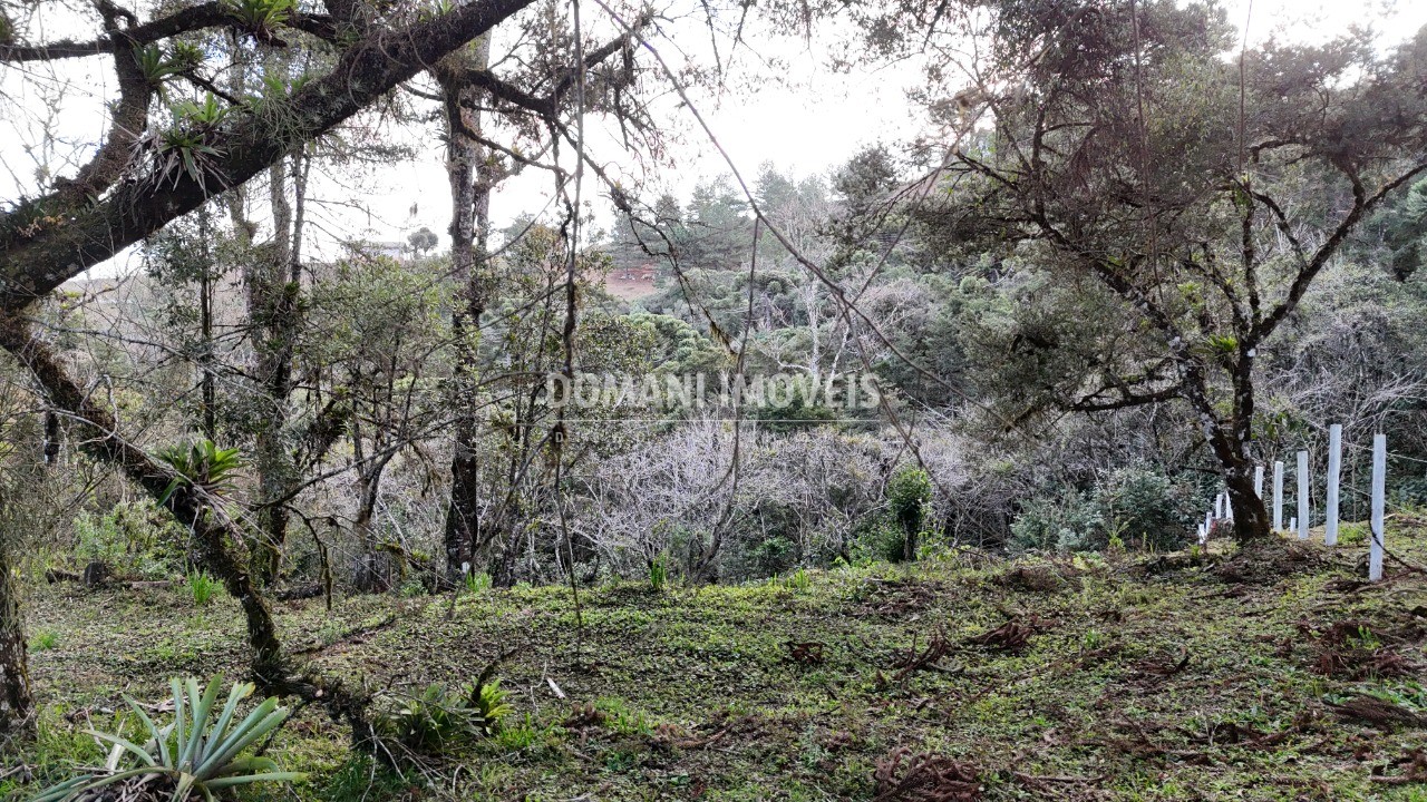 Terreno, 1030 m² - Foto 11