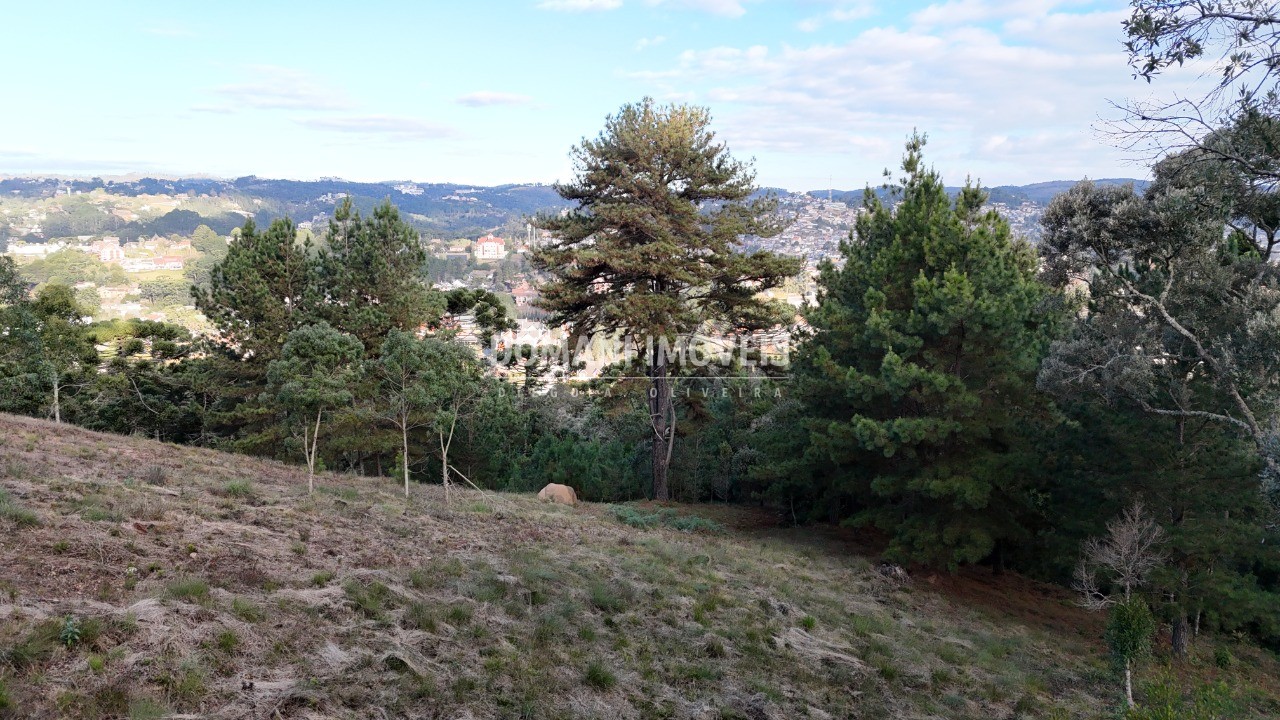 Terreno, 5535 m² - Foto 14