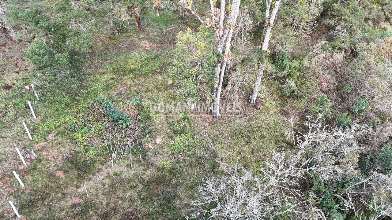 Terreno, 1030 m² - Foto 14