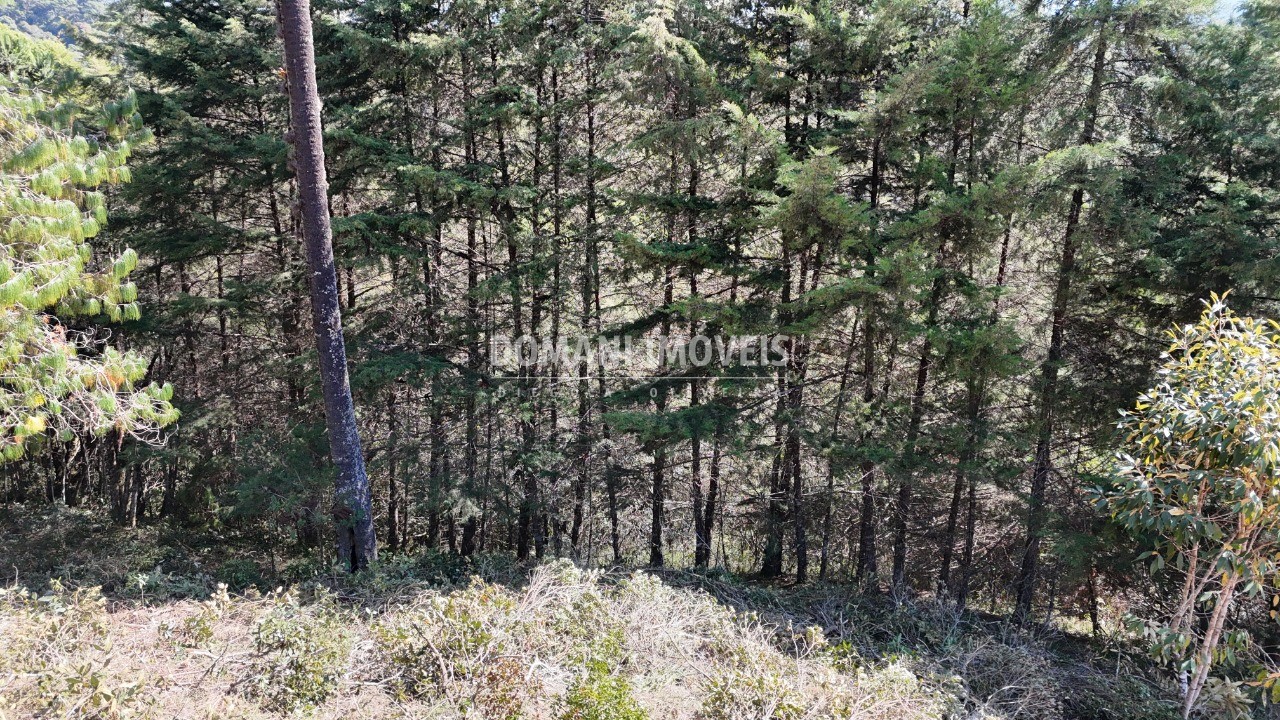 Terreno, 1080 m² - Foto 28