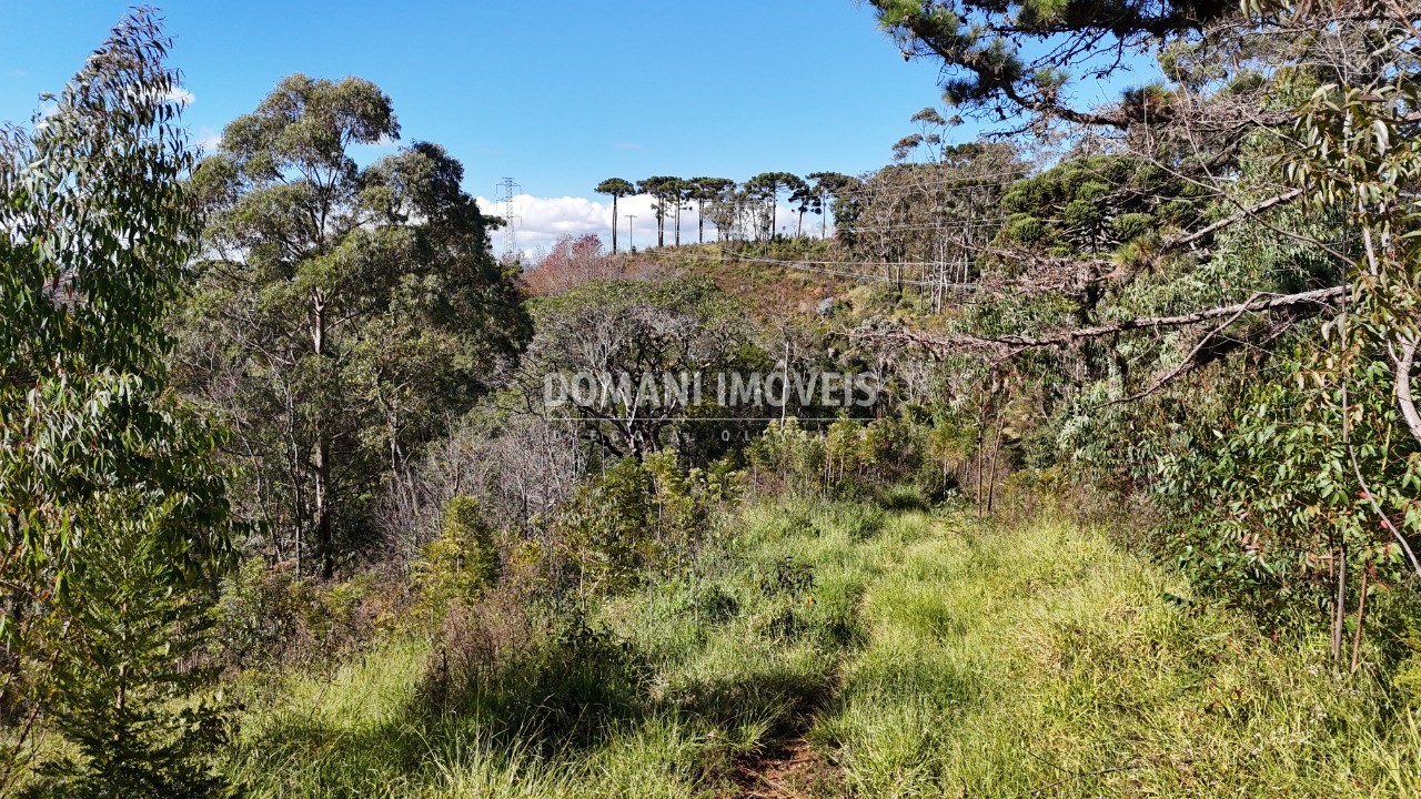 Terreno - Foto 17