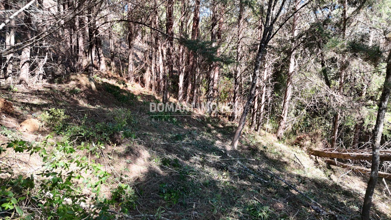 Terreno, 1080 m² - Foto 26