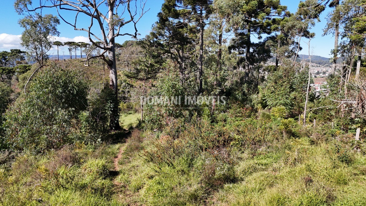 Terreno - Foto 23