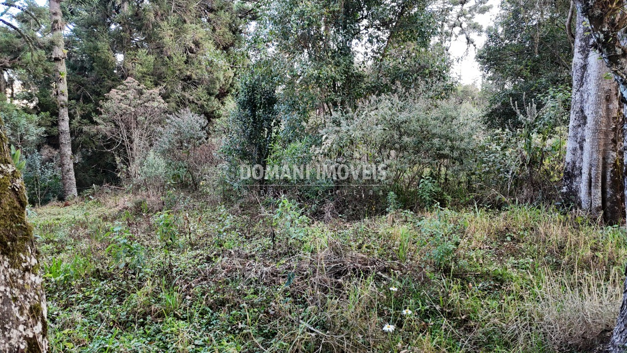 Terreno, 1030 m² - Foto 18