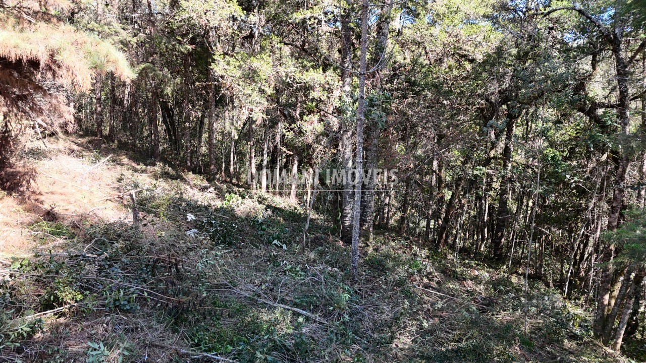 Terreno, 1080 m² - Foto 21