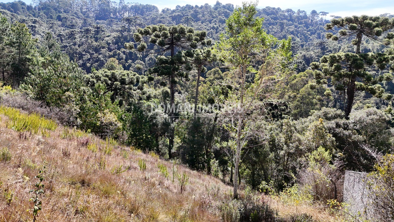 Terreno, 1385 m² - Foto 15