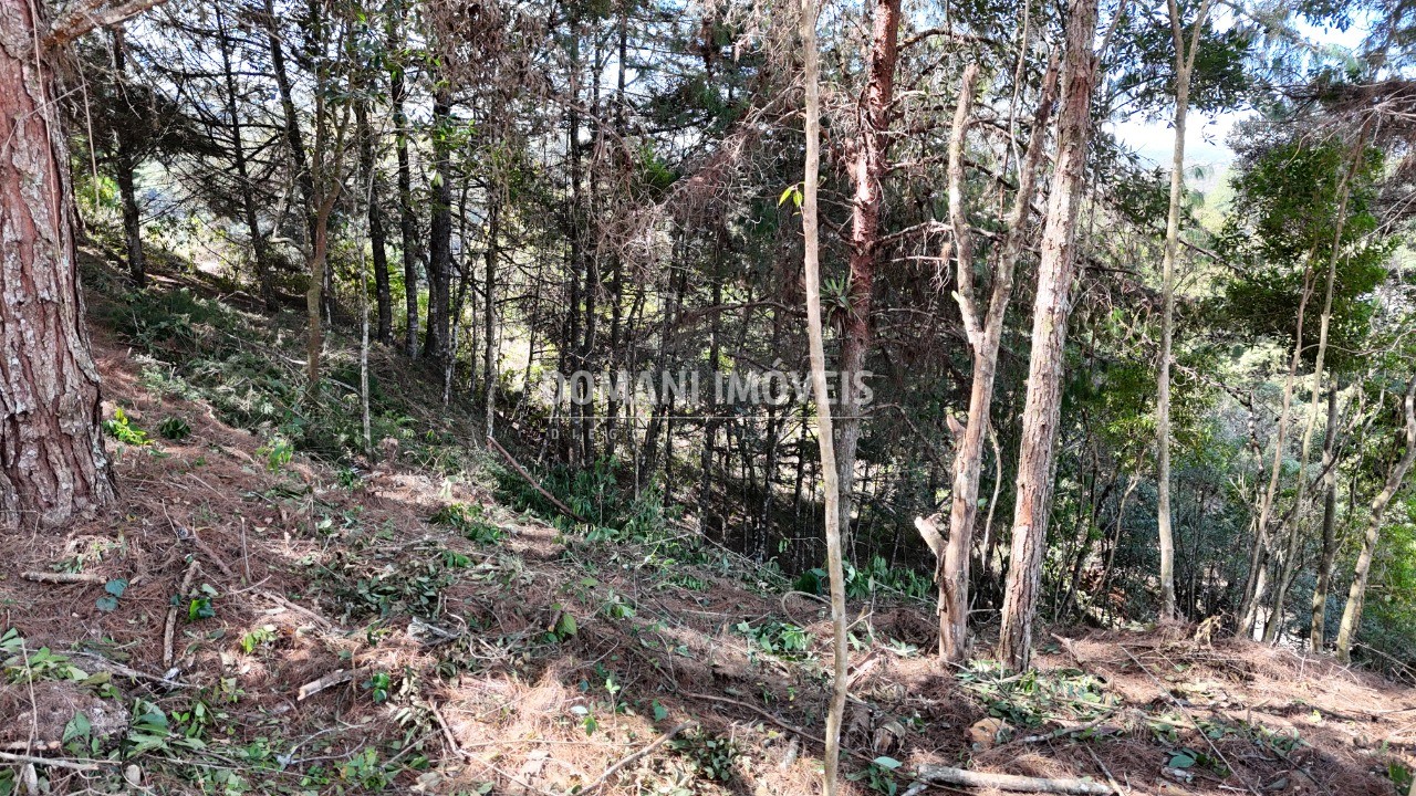Terreno, 1182 m² - Foto 8