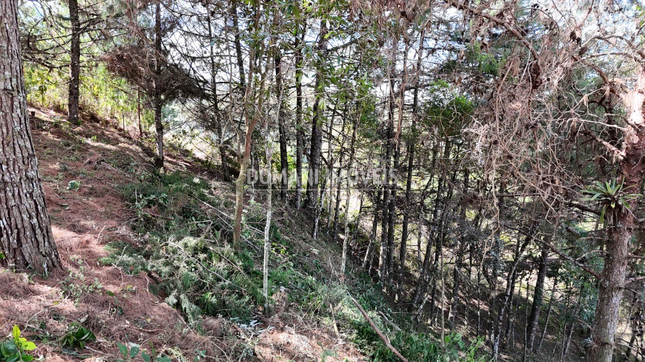 Terreno, 1182 m² - Foto 16