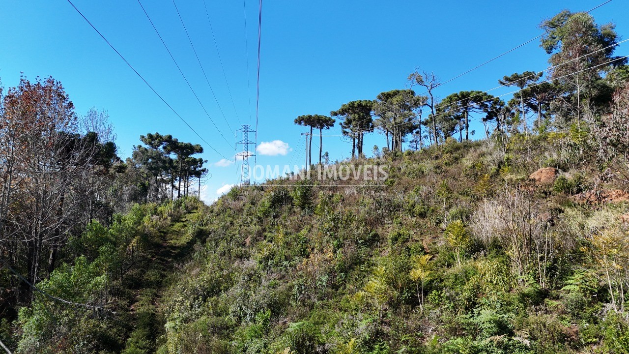 Terreno - Foto 13