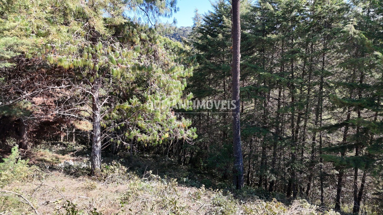 Terreno, 1080 m² - Foto 27