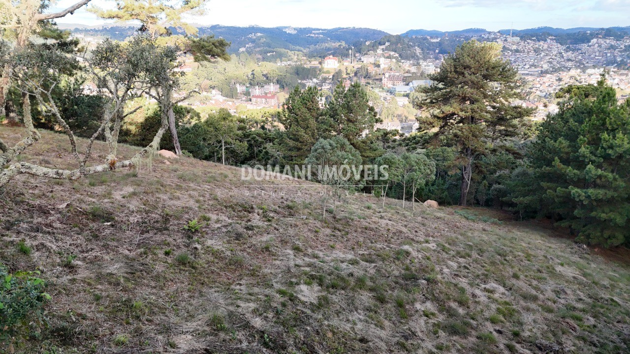 Terreno, 5535 m² - Foto 6