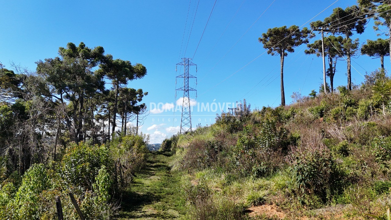 Terreno - Foto 11