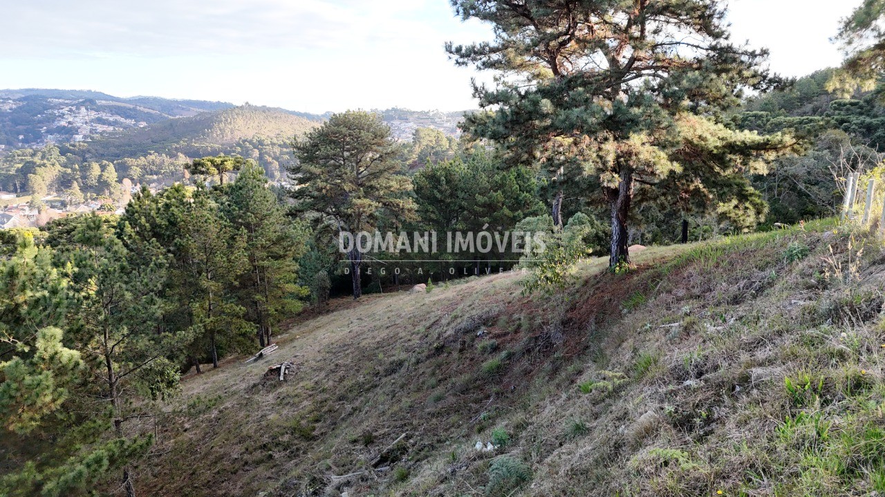 Terreno, 5535 m² - Foto 10