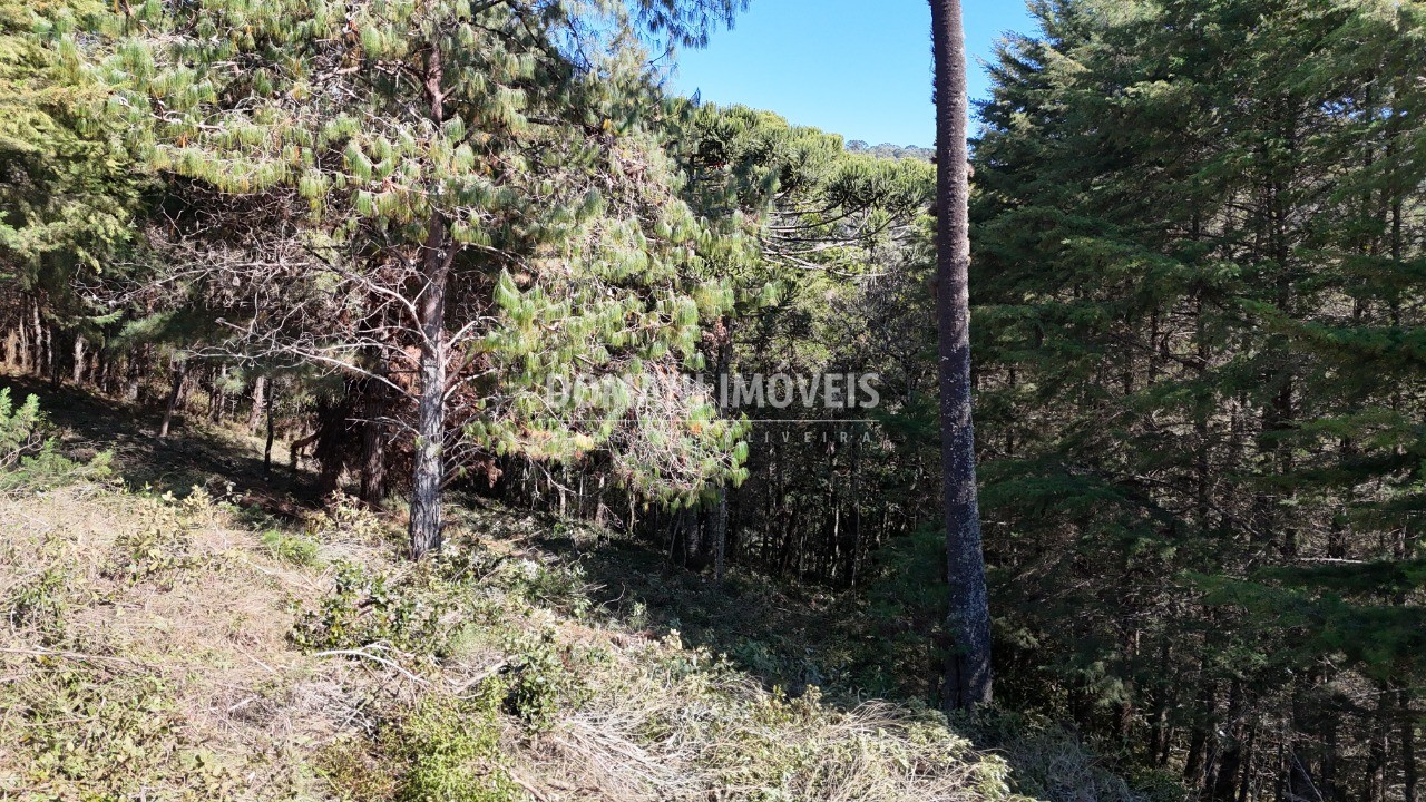 Terreno, 1080 m² - Foto 13