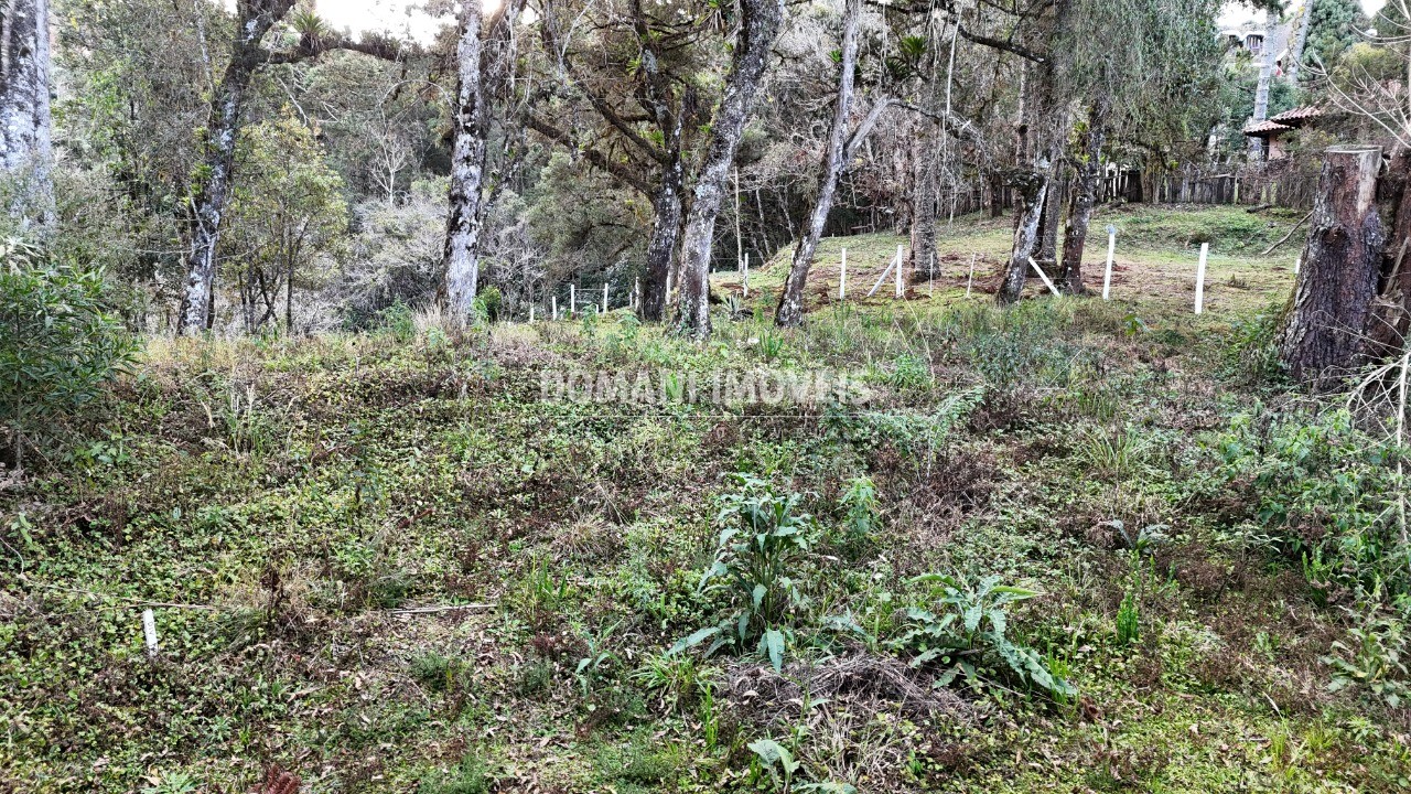 Terreno, 1030 m² - Foto 9
