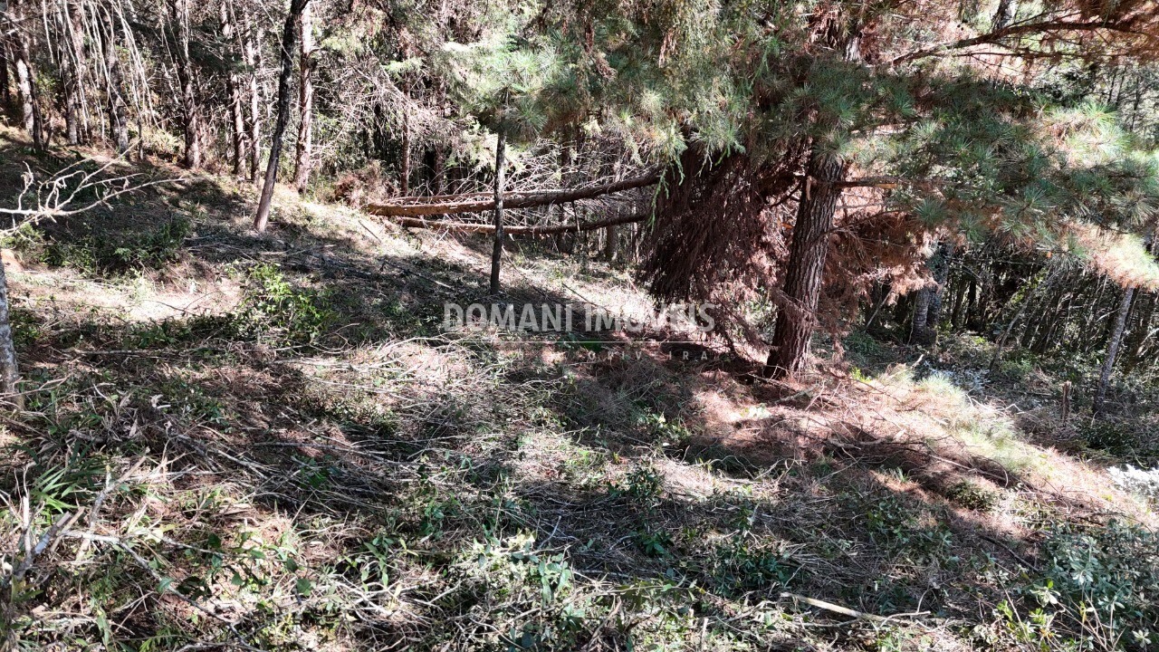 Terreno, 1080 m² - Foto 12