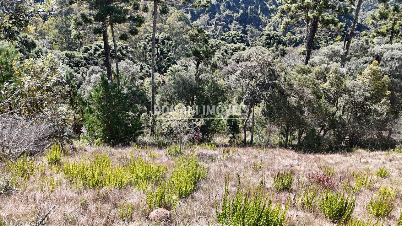 Terreno, 1385 m² - Foto 7