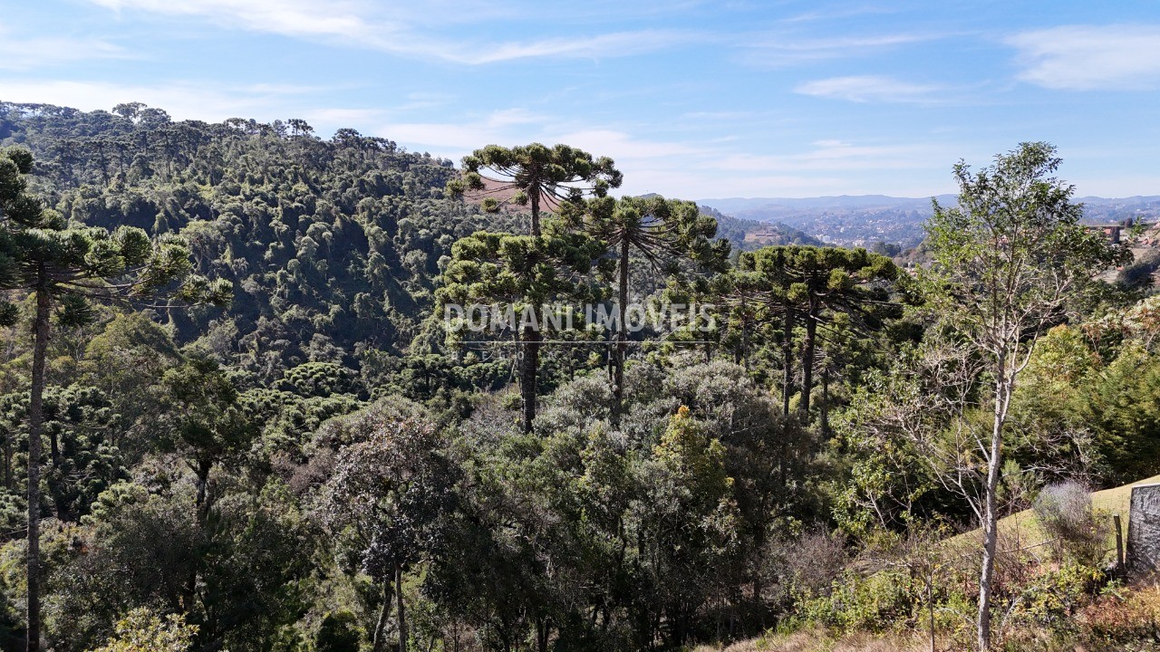 Terreno, 1385 m² - Foto 13