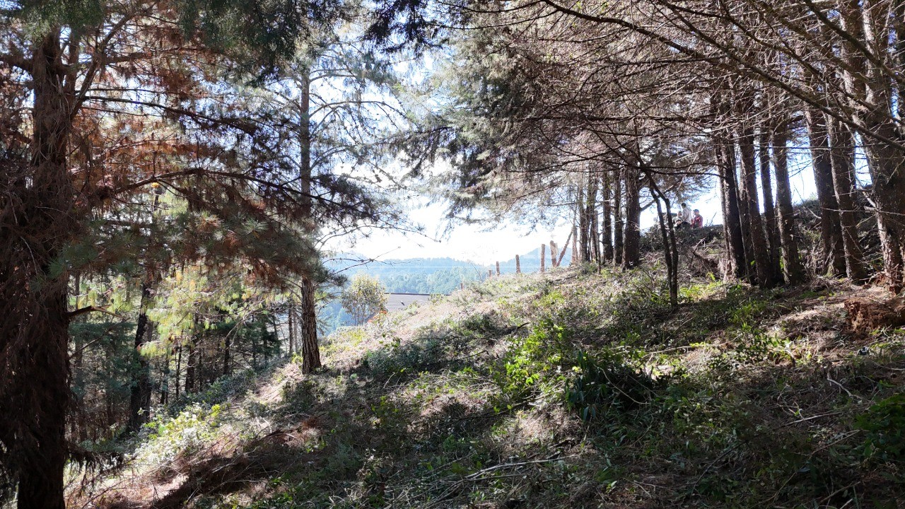 Terreno, 1080 m² - Foto 8