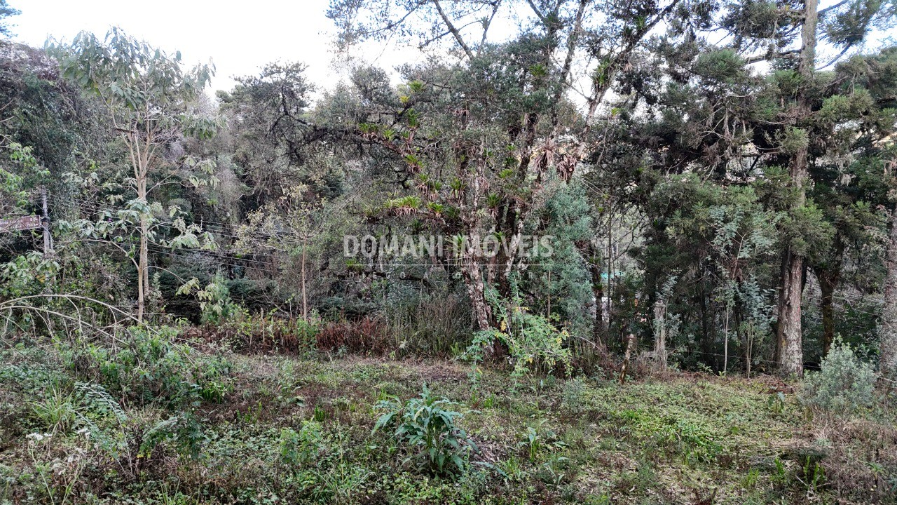 Terreno, 1030 m² - Foto 21