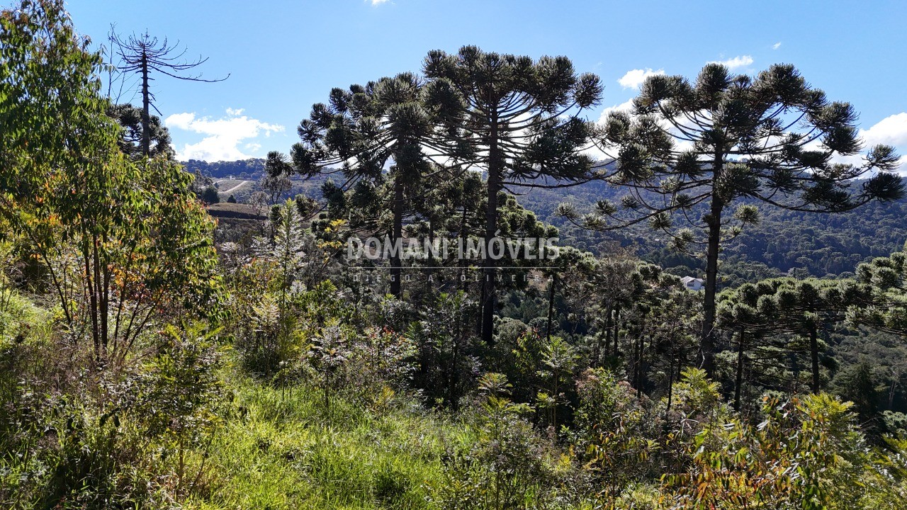 Terreno - Foto 15